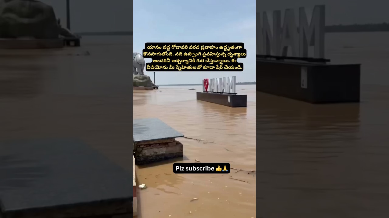🌊యానంలో ఉప్పొంగుతున్న గోదావరి.. వరద ప్రవాహం ఉగ్రరూపం! #ytshorts #teluguupdates #viralnewstoday #yt