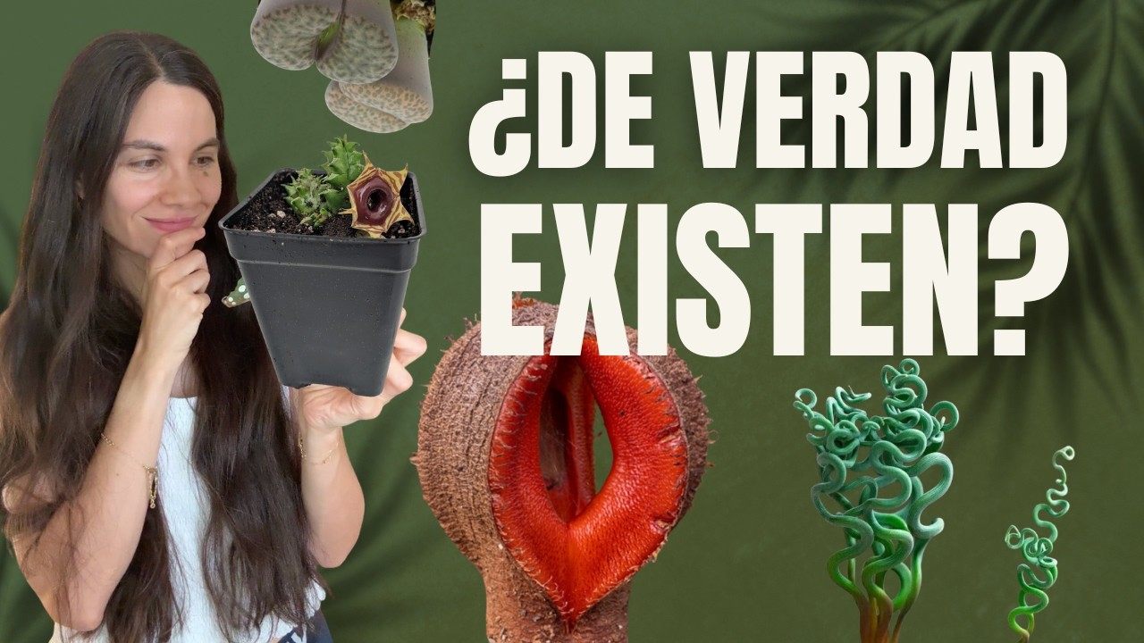 5 plantas raras que puedes cultivar en casa 🤯 (parecen de otro planeta!)