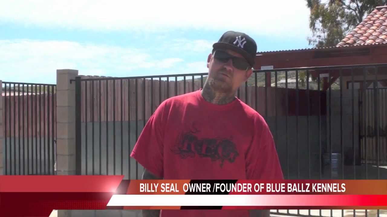 BLUE BALLZ KENNELS