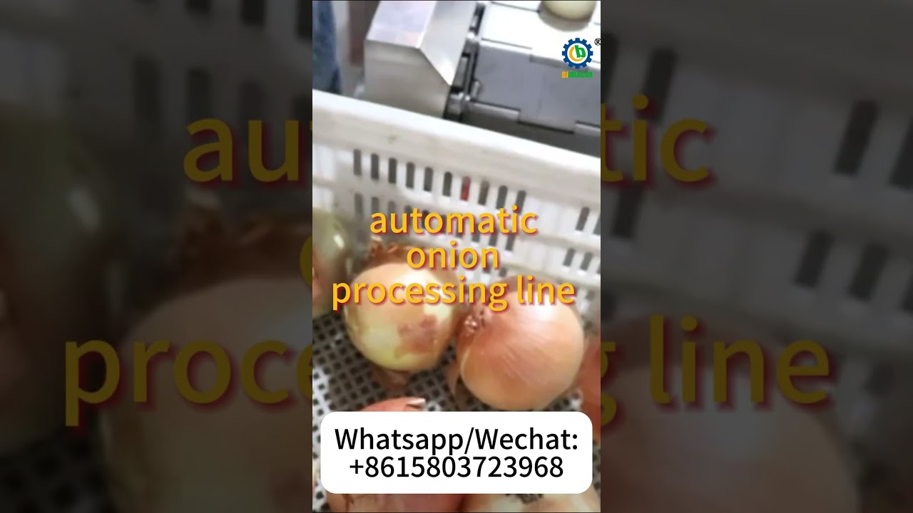 onion peeling and cutting machine