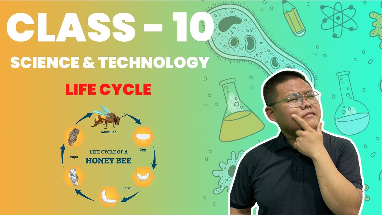 📖🔥Life Cycle of Honeybee || Class -10 SEE || Science and Technology || Based On New Syllabus ||