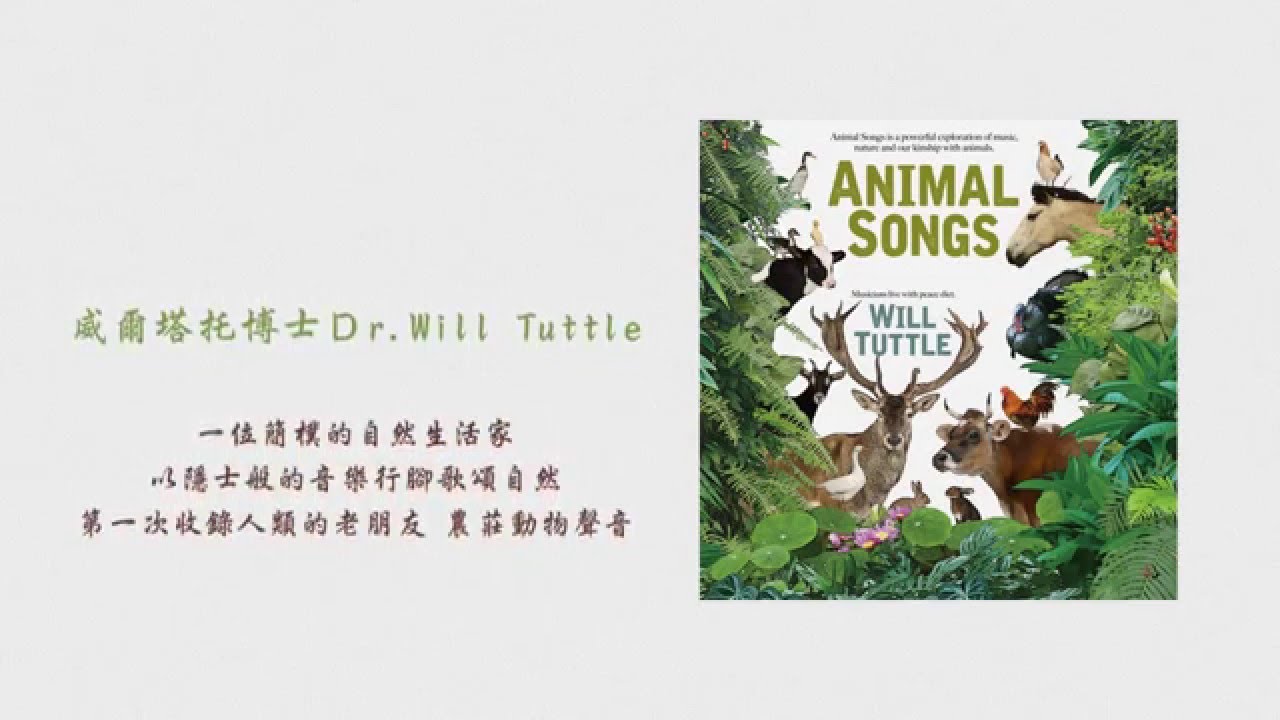 【Animal songs 動物在歌唱】- 塔托博士與他的音樂 / 牛兒在歌唱COW SONG