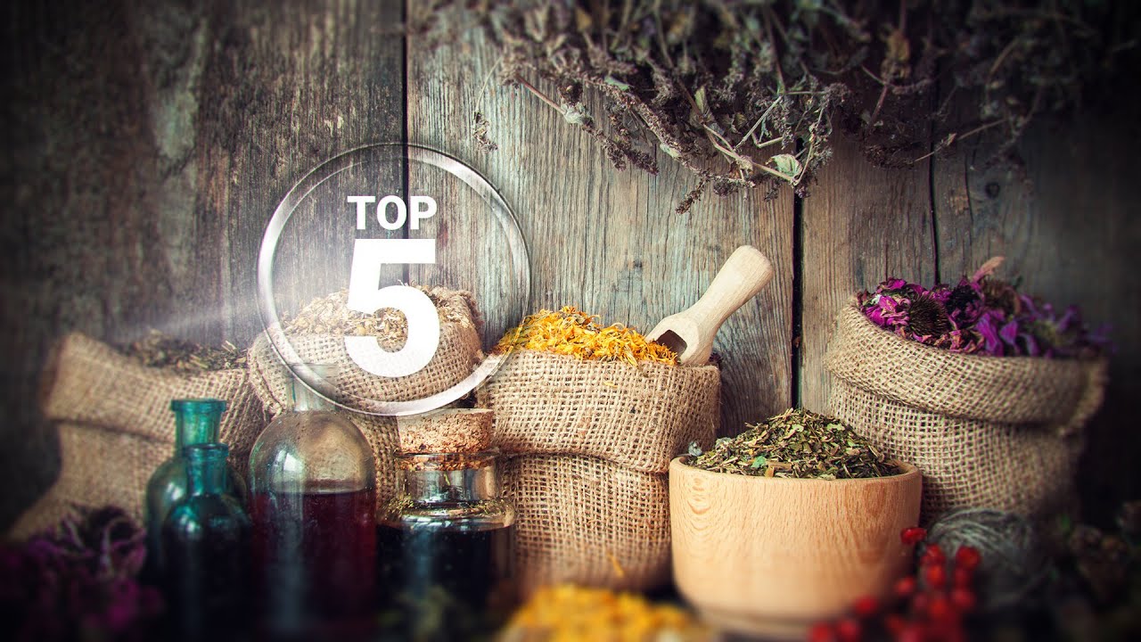 Suskubkite pasinaudoti pievų turtais: vertingų Lietuvos vaistažolių TOP 5