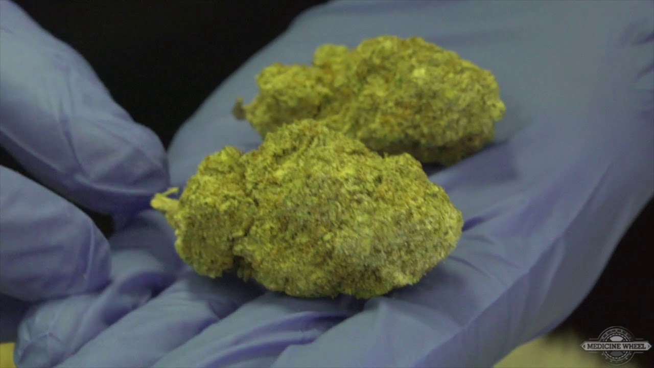 Sour Tangie Review