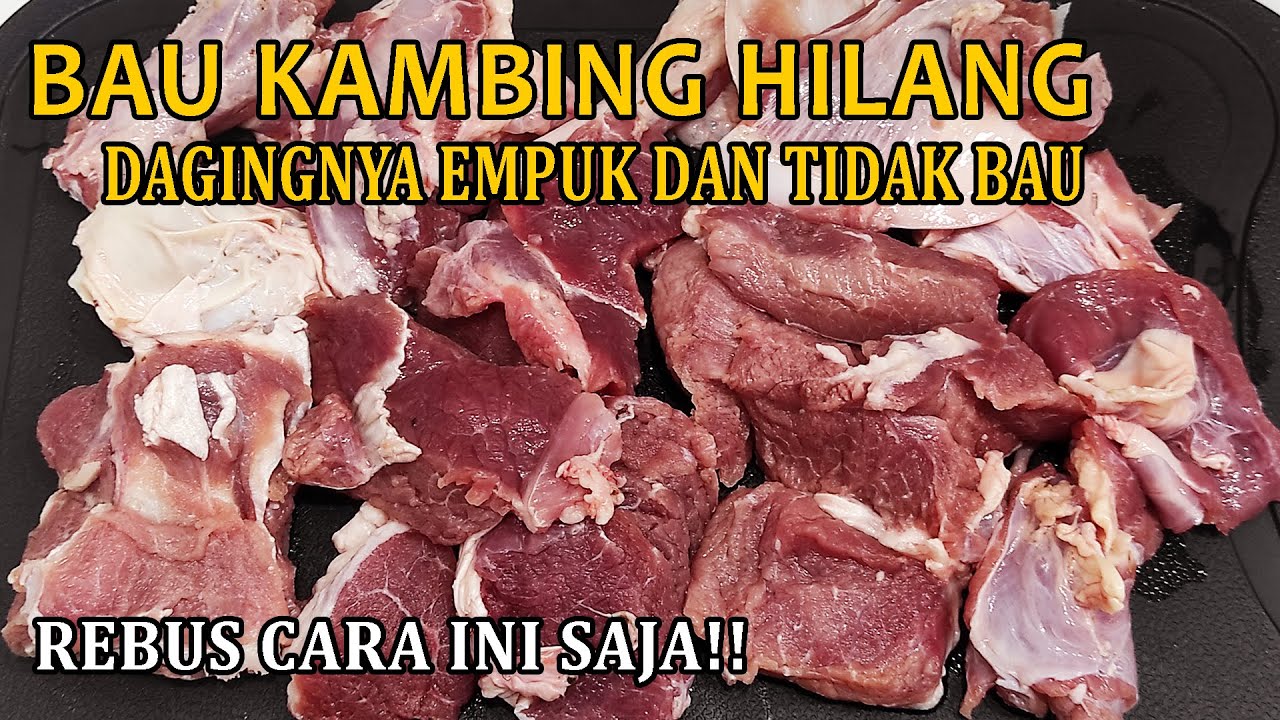 CARA MEREBUS DAGING KAMBING AGAR TIDAK BAU DAN EMPUK | MENGOLAH DAGING KAMBING