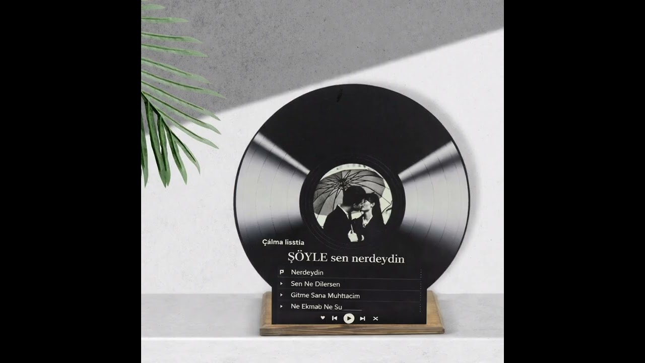 SÖYLE SEN NERDEYDİN