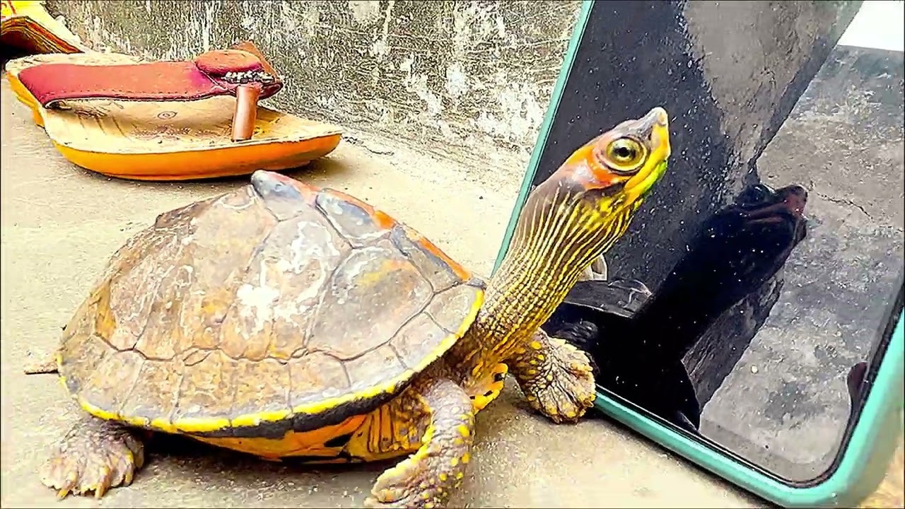 ￼Just Tow Old Friends  Paying And Timepass  And That Is Over || Tony And Vishnu 
