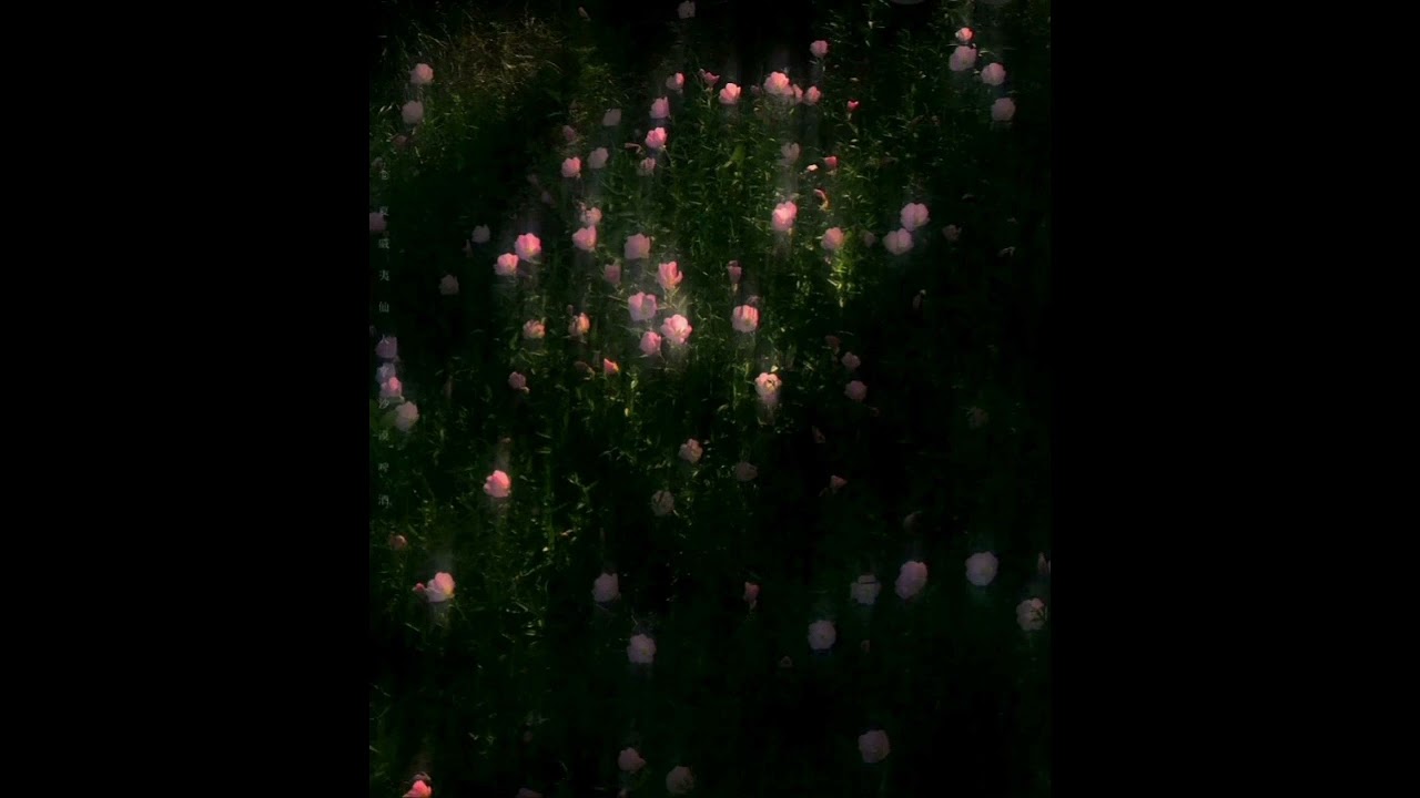 gifts to your future self (sped up)