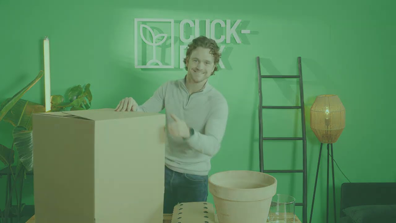 Buffer Box Unveiled: The Ultimate Solution for Shipping Fragile Items