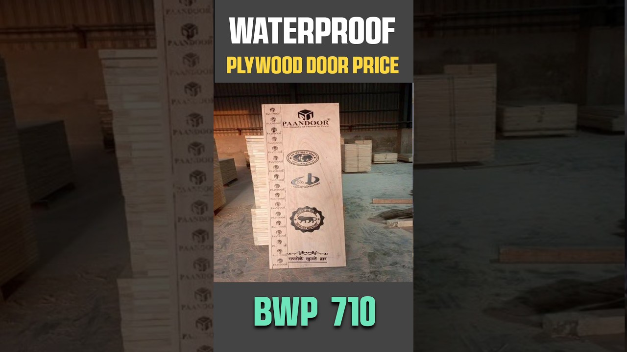 Waterproof Plywood Door Price #shortsvideo #viral