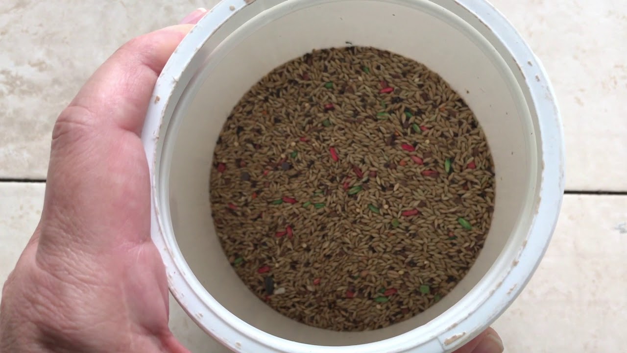 Mixtura para Jilgueros