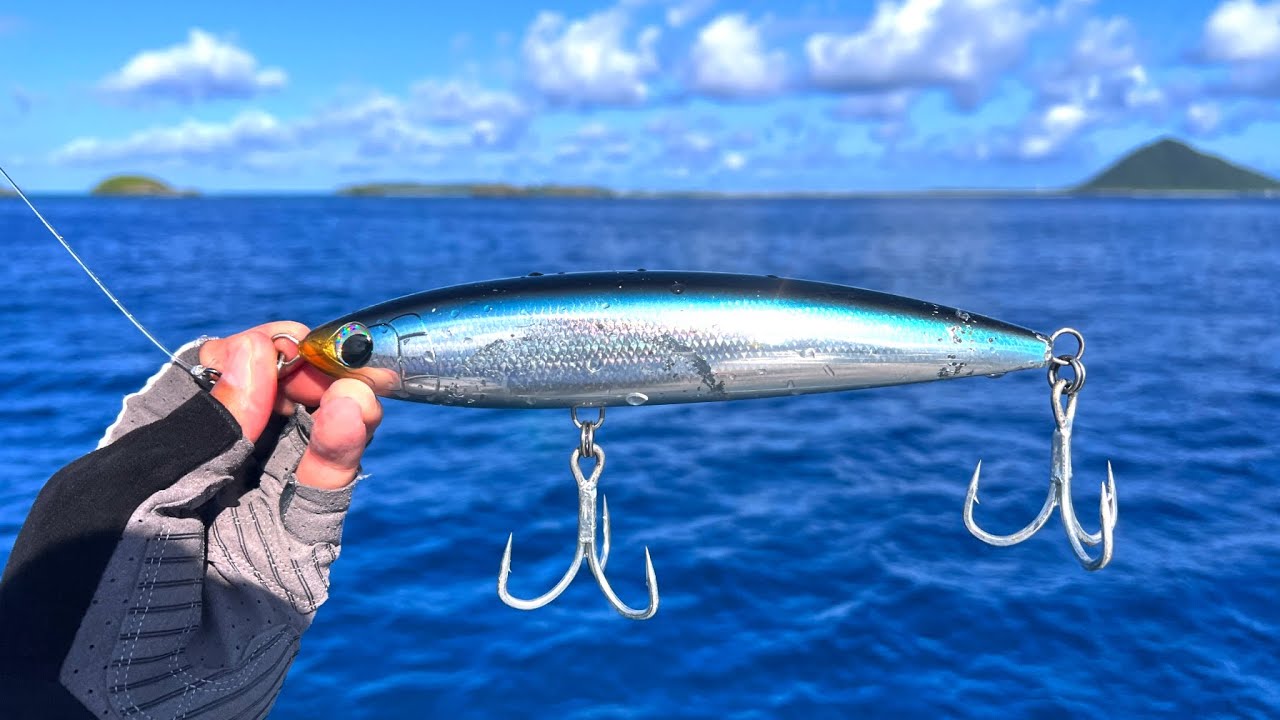 ビッグルアーで巨大魚が釣りたい
