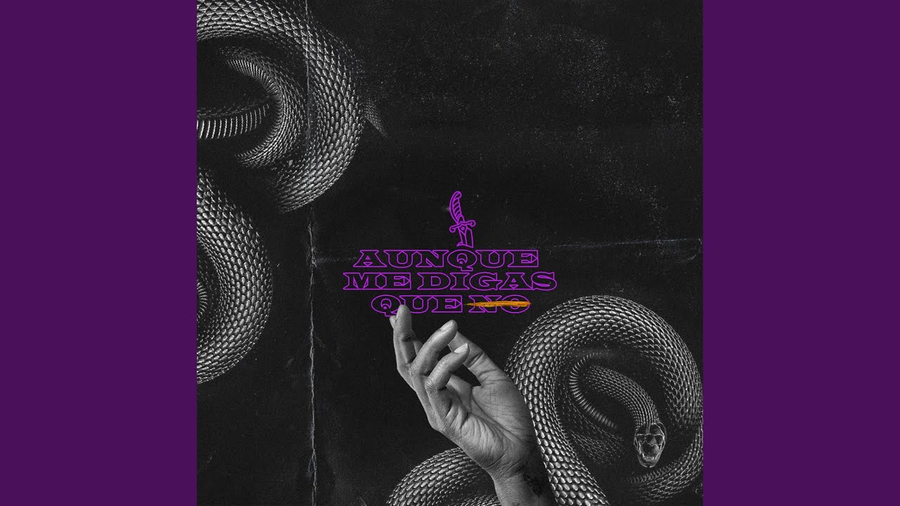 Aunque me digas que no