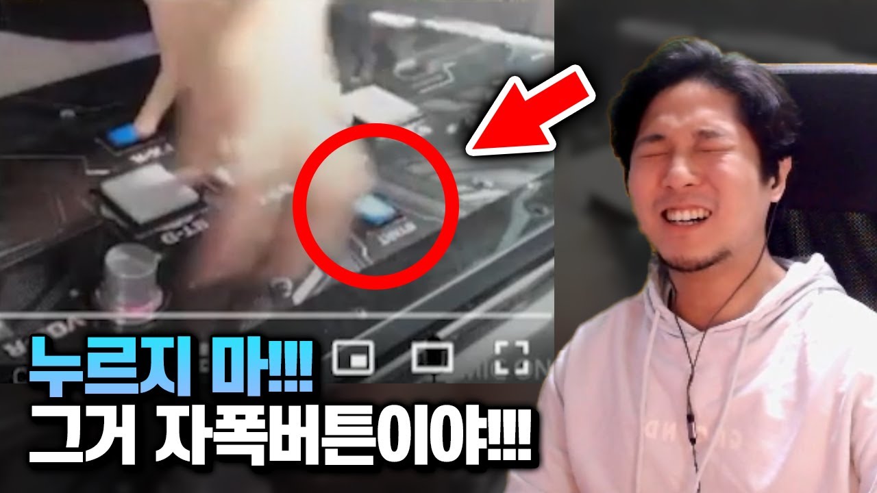 절대 이 버튼을 누르지 마시오 | #11 편문철TV 리듬게임 억까판별단
