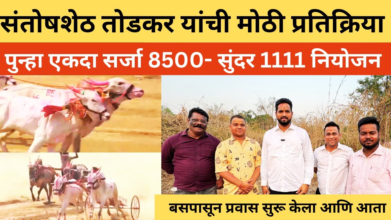 सर्जा ८५००-सुंदर११११-मल्हार ११११ कायम मोठ्या खरेड्या दावणीला दिसणार 💯नगरशेवक संतोष शेठ यांची मुलाखत💯