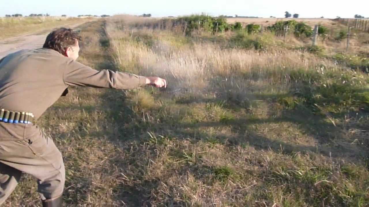 Cazando una liebre con una lapicera 22