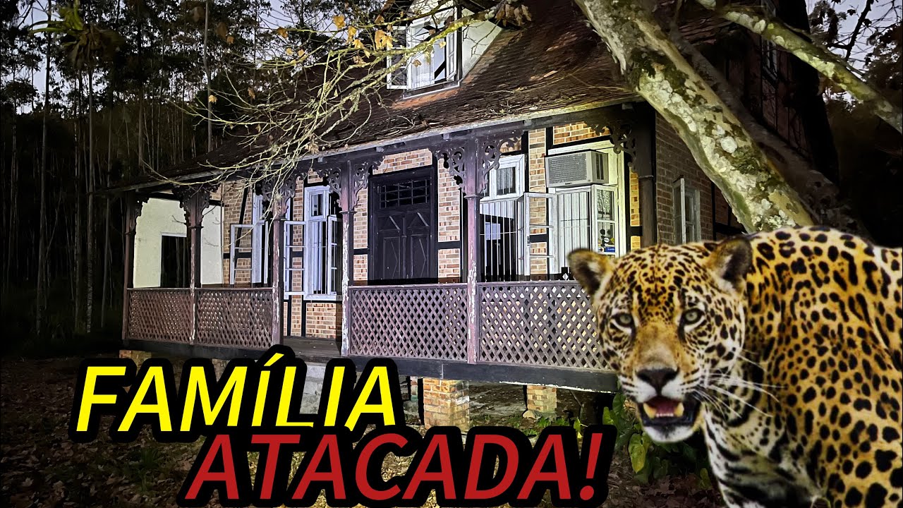 FAMÍLIA FOGE DEIXANDO CASA ALEMÃ LACRADA DEPOIS DE VÁRIOS ATAQUES DE ONÇA!