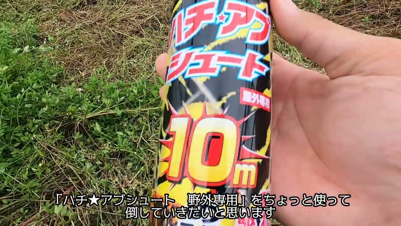 恐怖のセルフ蜂駆除