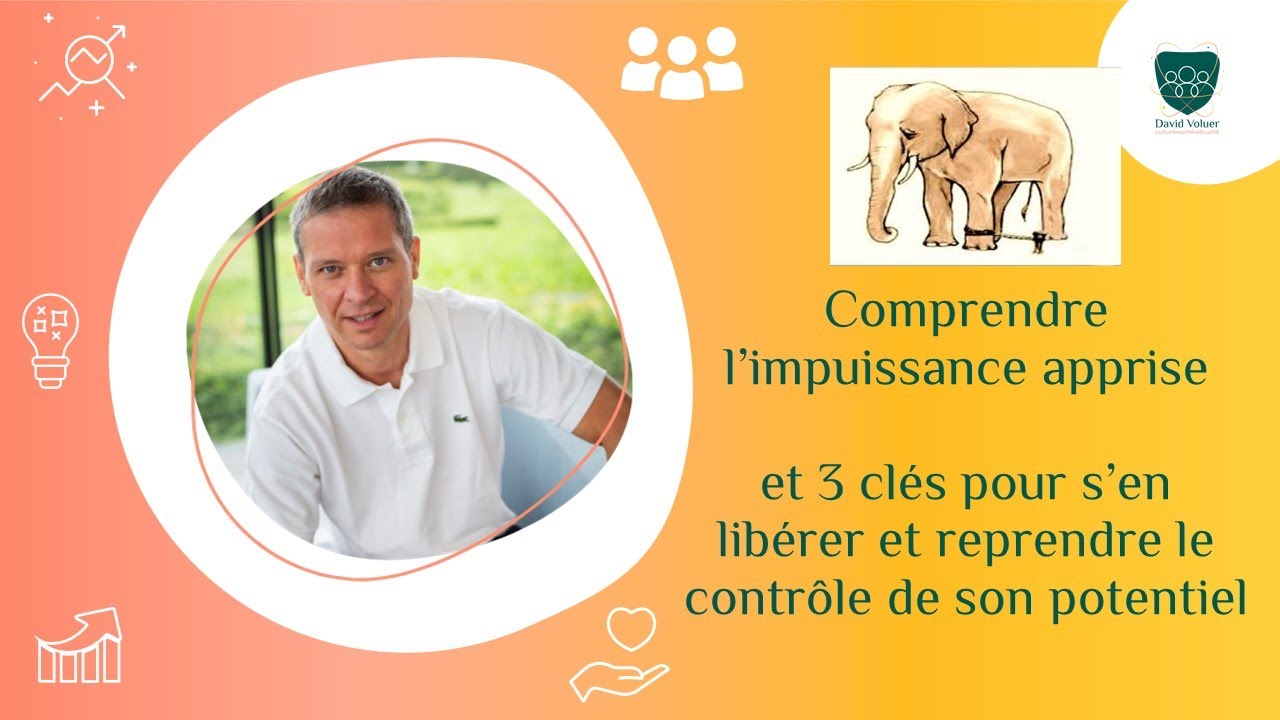 Comprendre l&rsquo;impuissance apprise et 3 cl&eacute;s pour la contrer