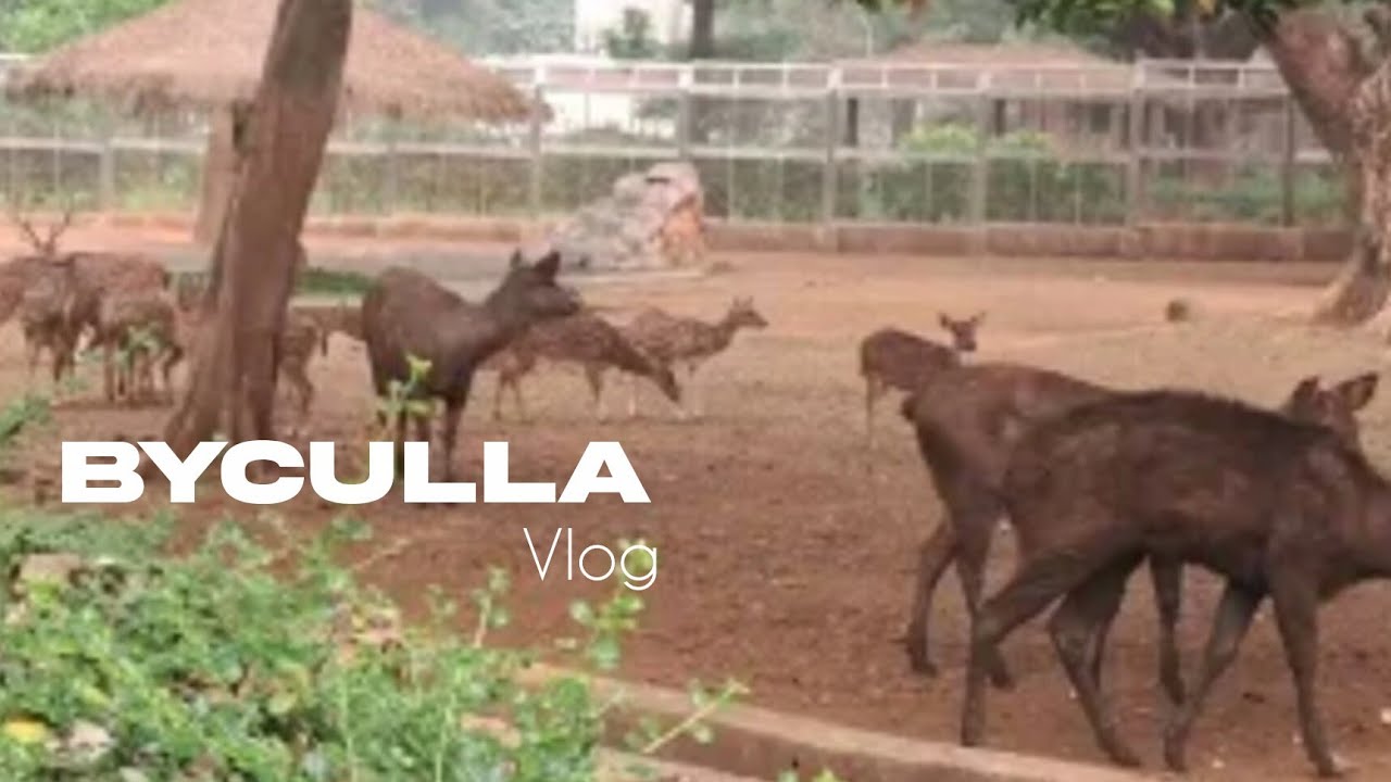 Rani bagh | Byculla vlog |