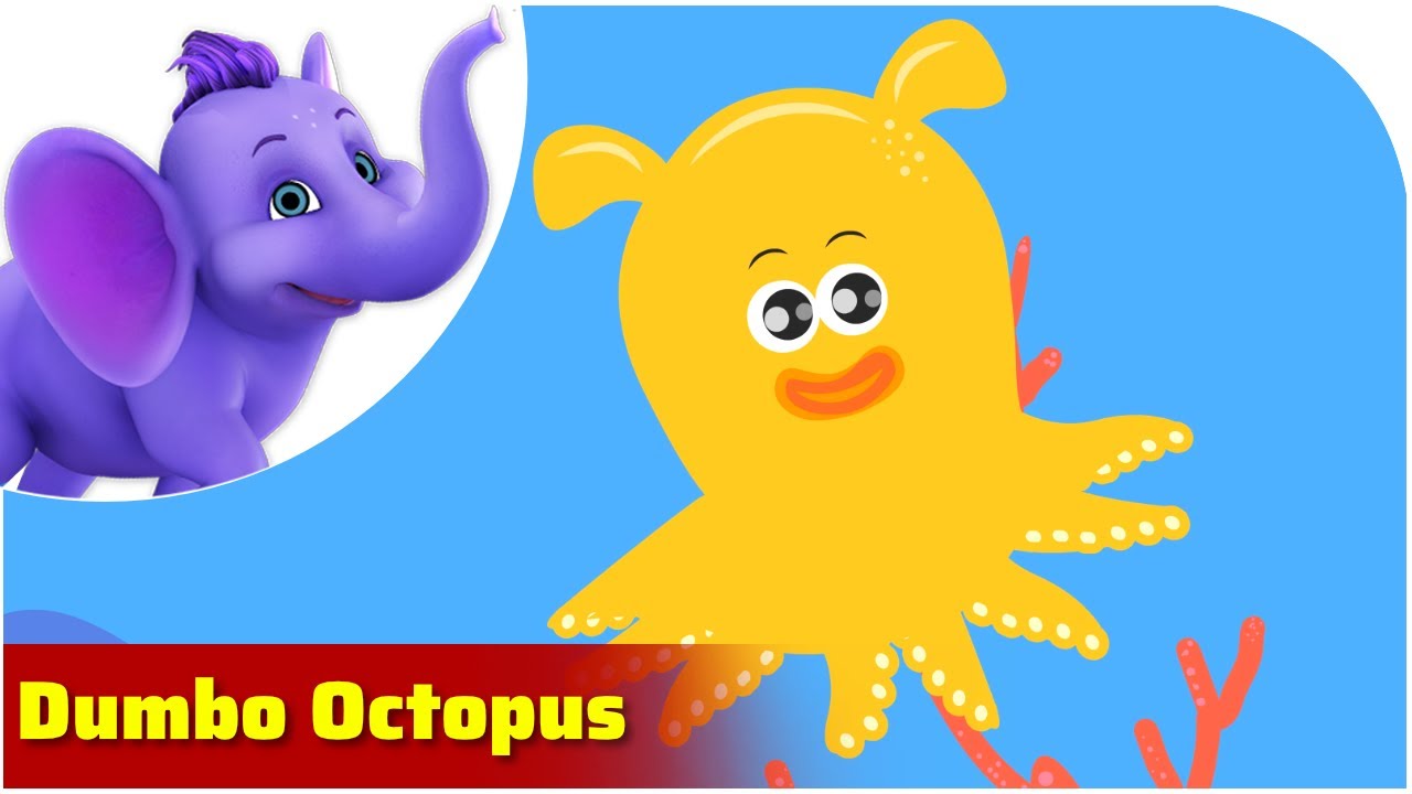 Dumbo Octopus / Weird Animal Songs / Appu Series