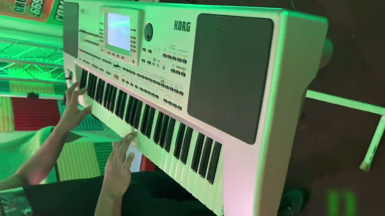 Venta De Ritmos Korg Pa 50,80,669-212-1539