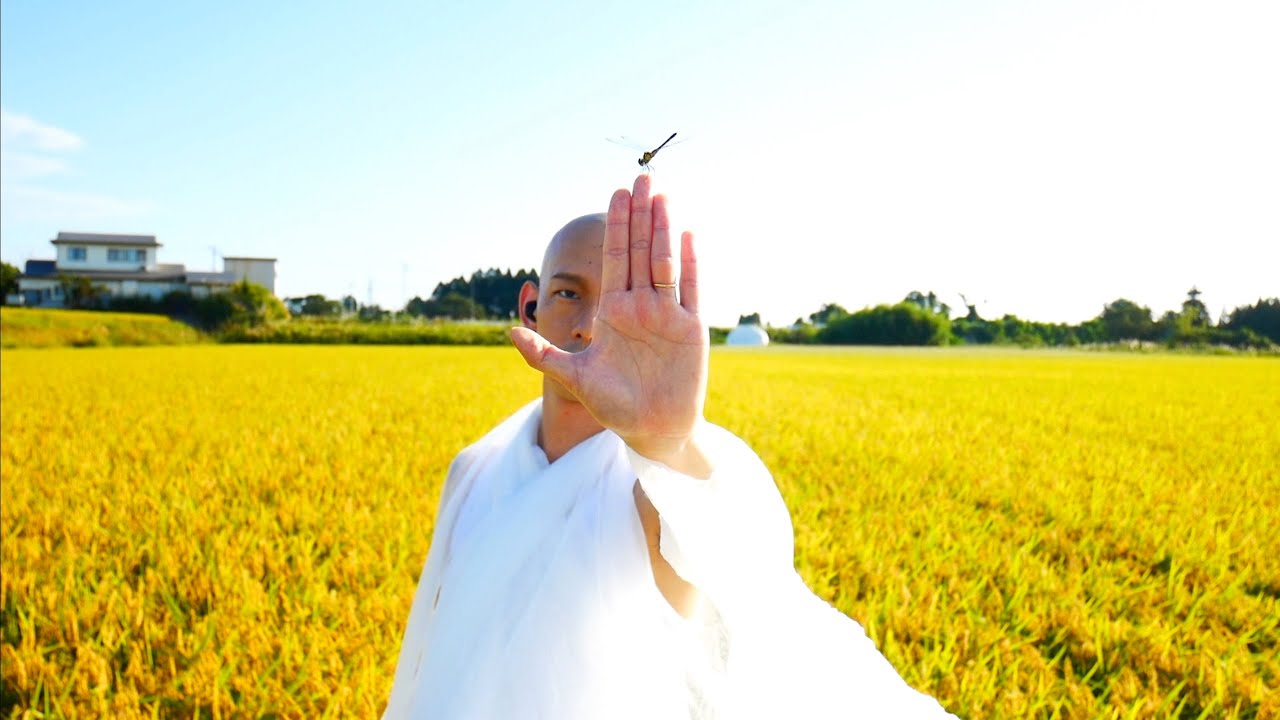 英心 / Mama Akita【MV】