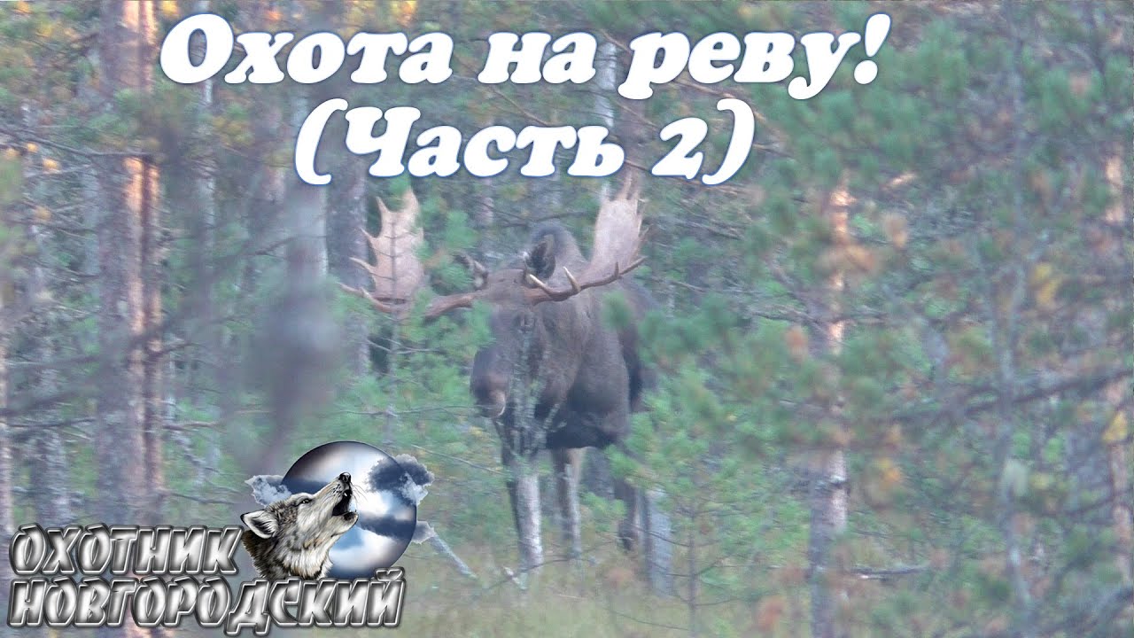 Охота на Реву! (Часть 2)