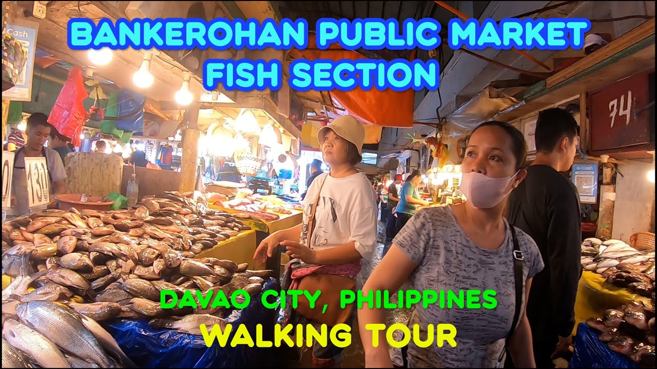 Walk Tour to the Fish Section of Bankerohan Public Market, Davao City, Philippines