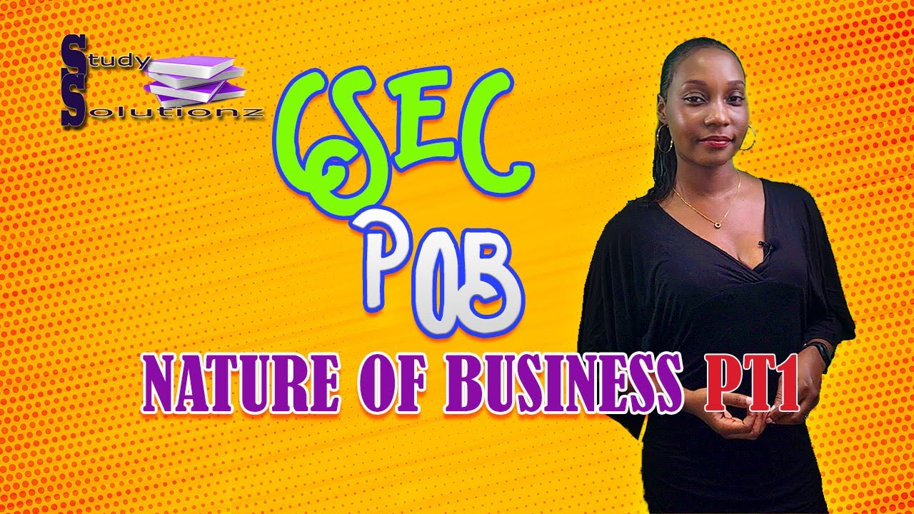 Nature of Business PT1 (POB CSEC Lecture series)