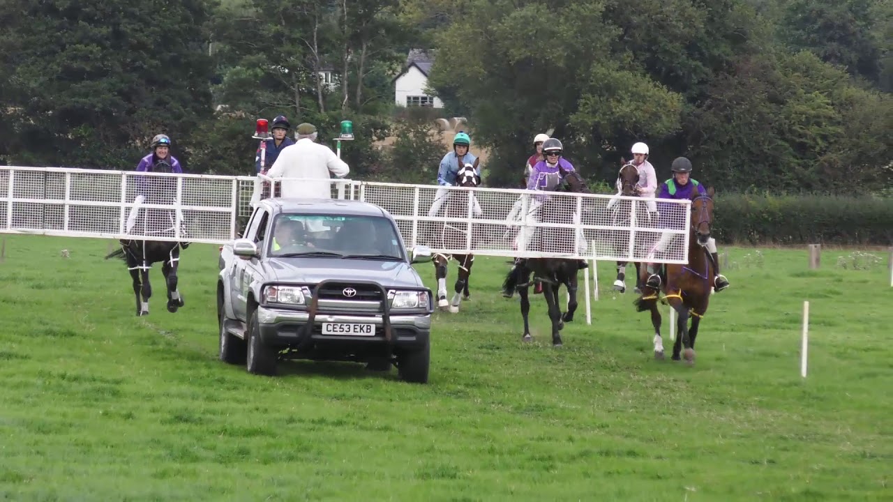 ALMELEY & MERTHYR HARNESS RACES  2017 SADDLE RACE