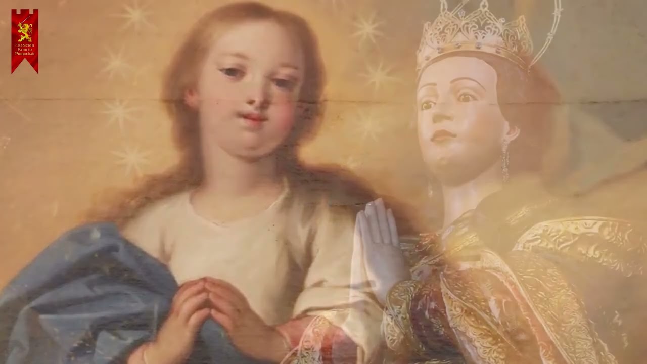 Inmaculada Concepción #inmaculadaconcepción #tfp #pliniocorreadeoliveira #ecuador