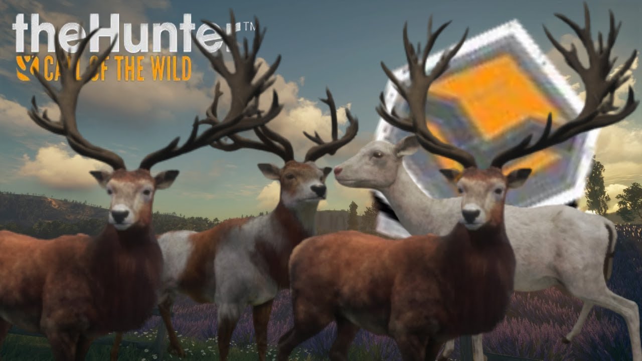 INCROYABLE Chasse au Cerfs élaphe sur Cuatro Collinas et Fernando ! | The hunter call of the wild Fr