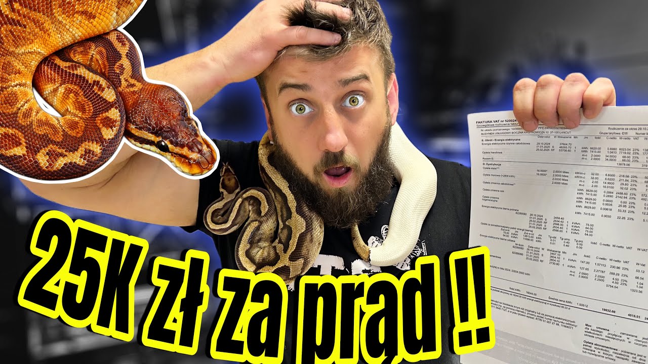 ILE KOSZTUJE WĄŻ W DOMU ‼️ZBANKRUTUJESZ⁉️