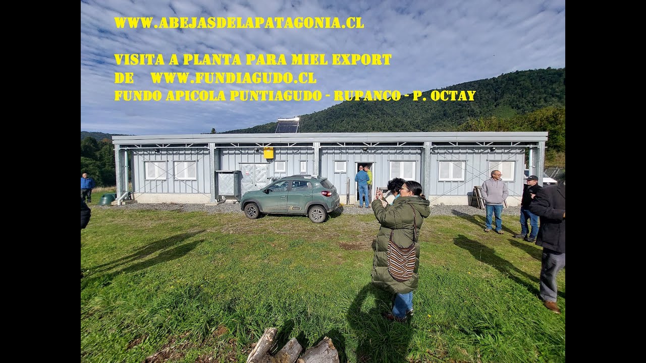 VISITA A PLANTA MIEL EXPORT.   3ra.  Parte  : La Sala de Procesos