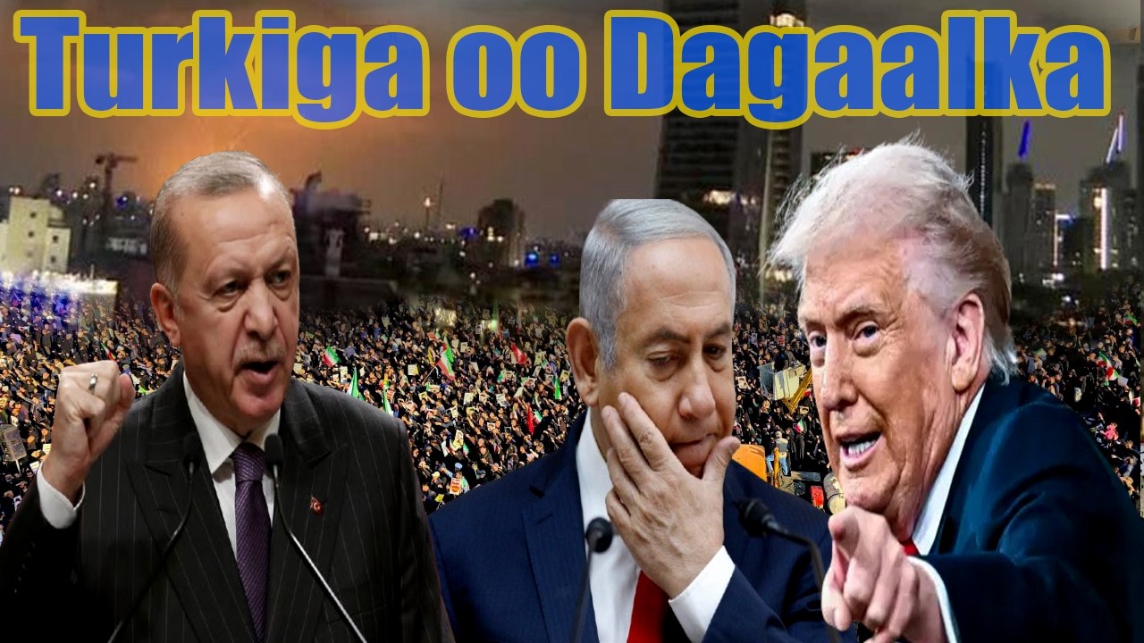 DEG DEG Dilka Khamani Turkiga oo Dagaalka Toos ugu biiray, Imaradka oo Gubanaya, Ciidankii…