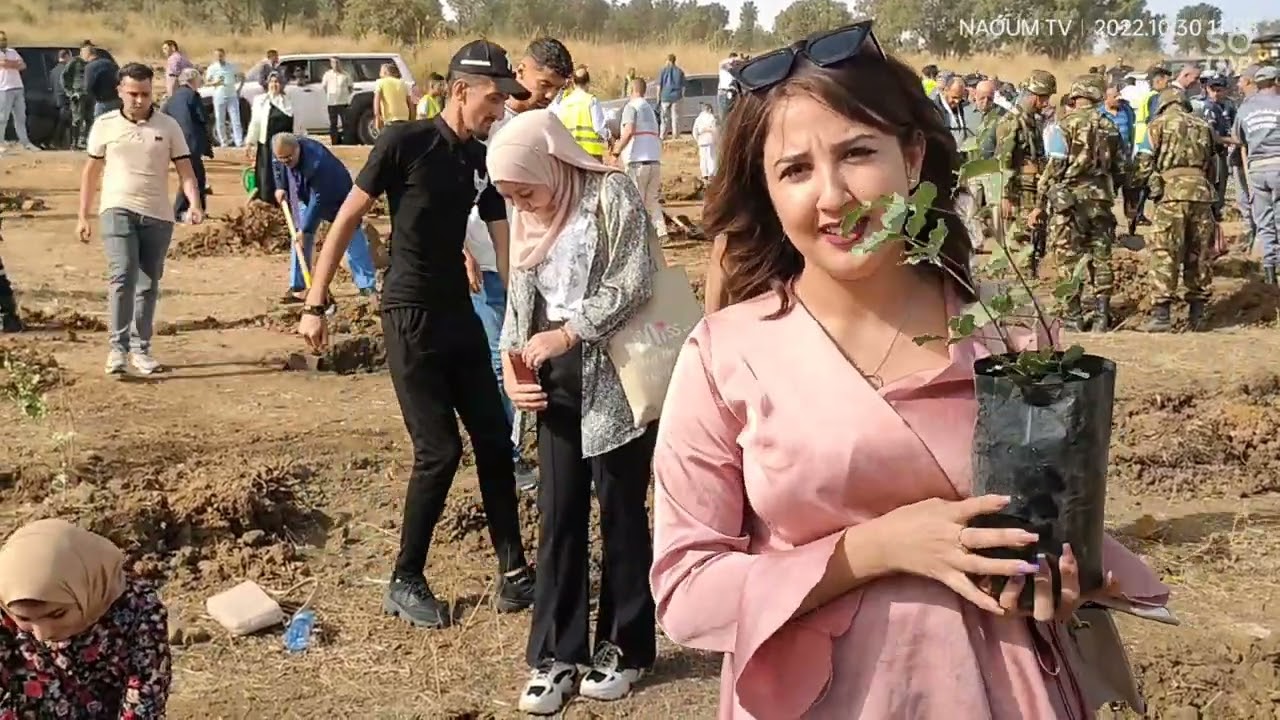 #عملية التشجير التي قام بها المعهد الوطني المتخصص في التكوين المهني أحمد قريش منصورة