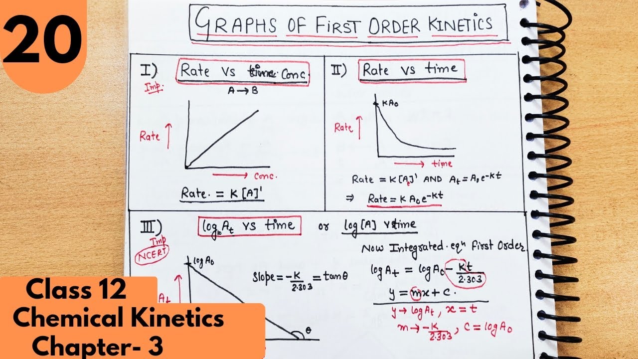 20) Graphs of First order reaction class12| conc vs time graph | chemical kinetics class12 #neet