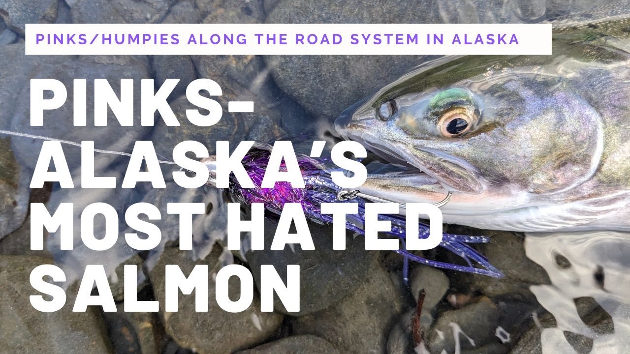 Pinks - AK Most Hated