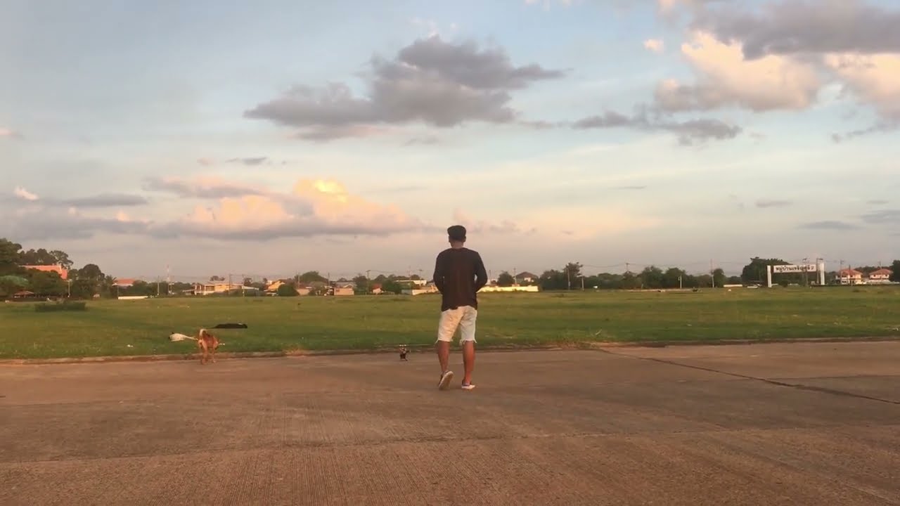 ALZRC Fast Devil 420