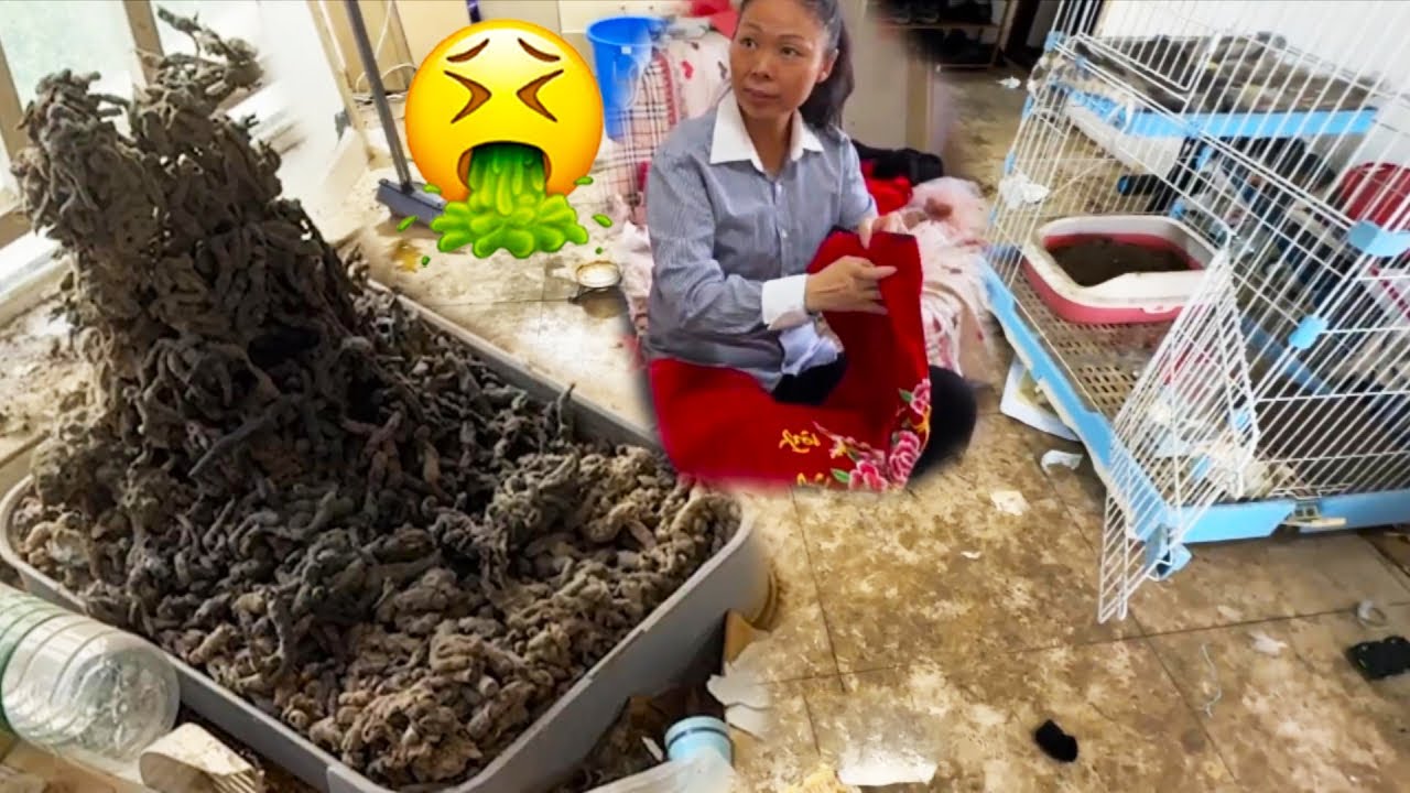 😱Single Mom Never Sweeps The Floor? The Floor Is Full Of Dirt, So Depressing!😭