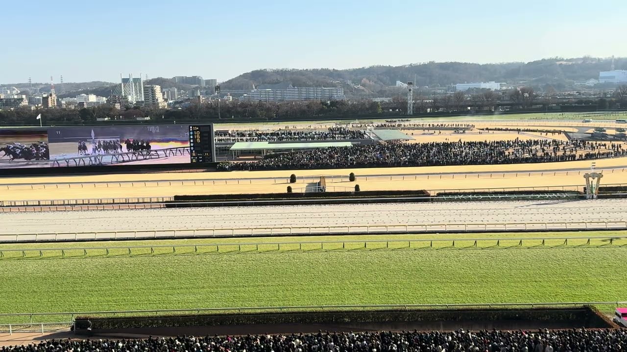 2026 フェブラリーステークス コスタノヴァ 現地