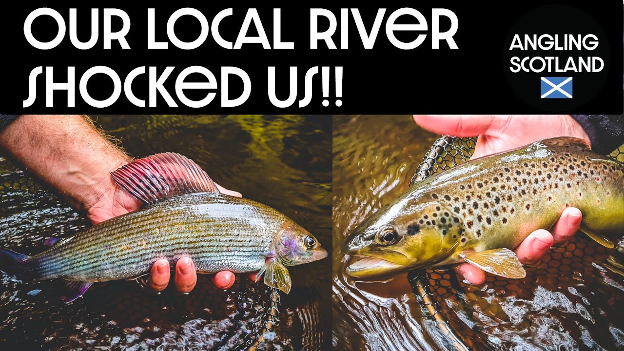 Fishing for brown trout on our local river with surprising results
