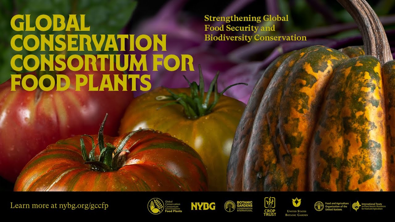 Launching the Global Conservation Consortium for Food Plants