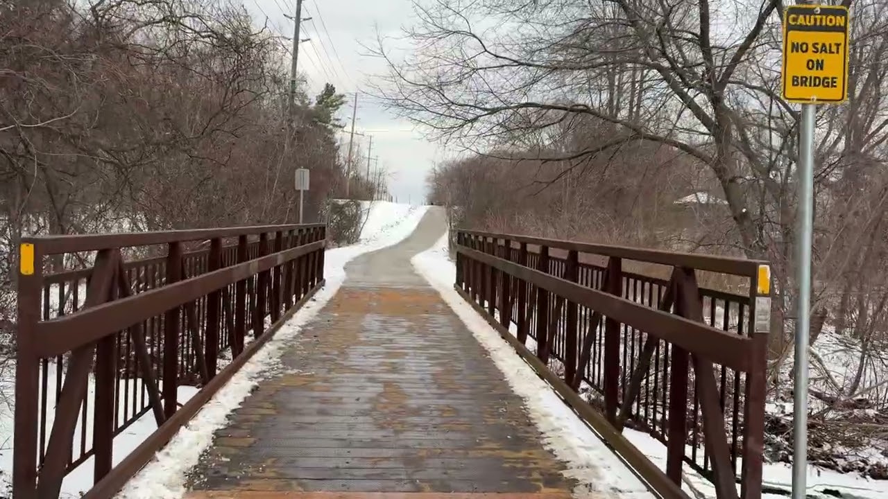 Sunday Long Walk Through a Quiet Park and Open Field