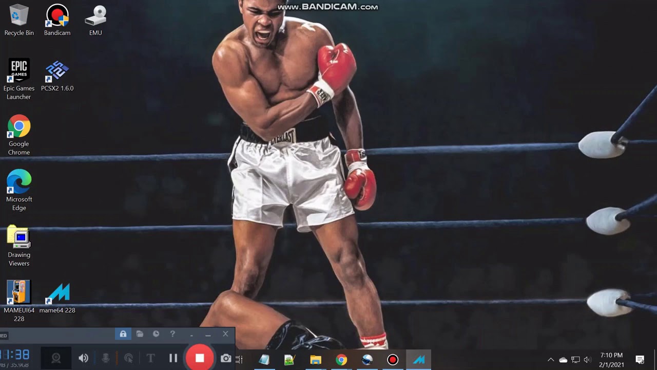 Mame Boxing Games 228 All Games Systems Consoles and a D/L List to duplicate & play on your machine
