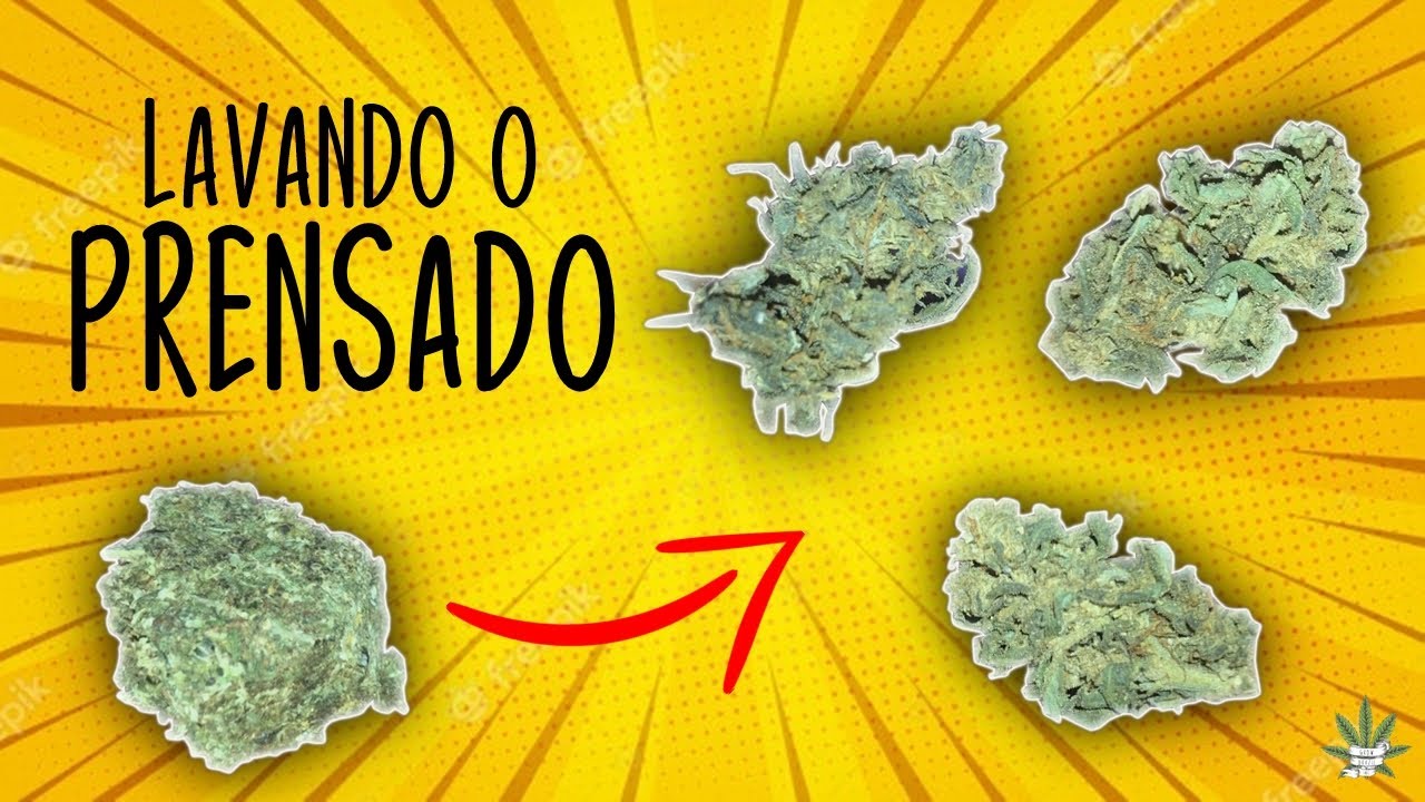 Como lavar o prensado!