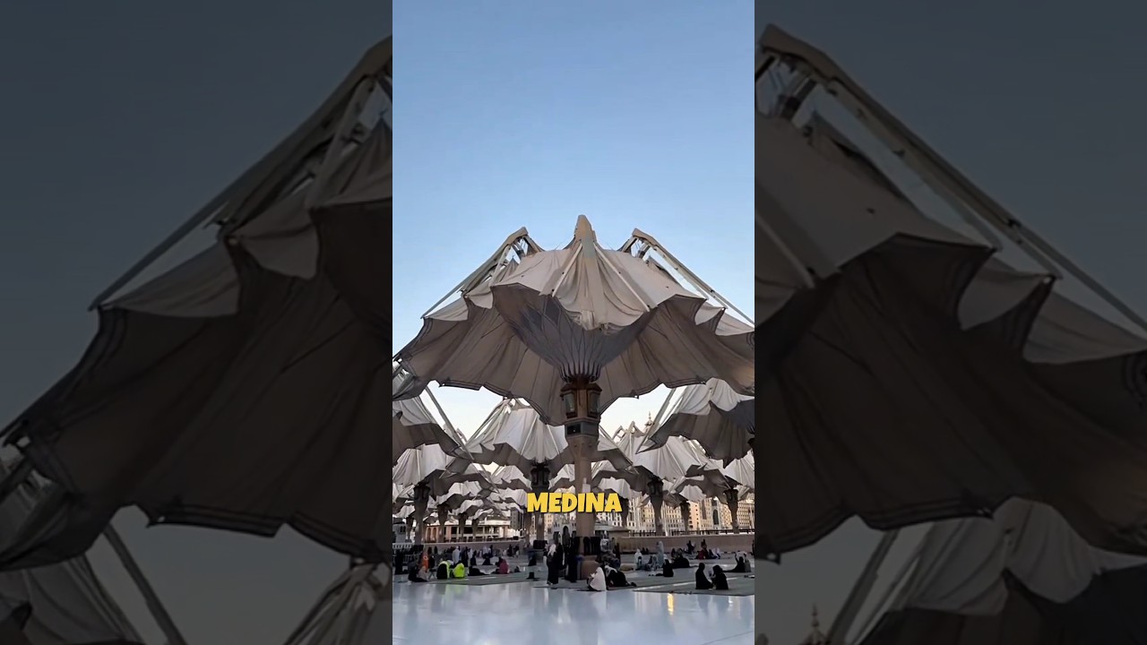 This is the largest umbrella in the world!