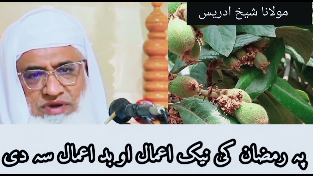  رسول اللہ (ص) حدیث د  پہ رمضان المبارک کی نیک اعمال او بد اعمال سے دی مولانا شیخ ادریس صاحب خکلے ✅