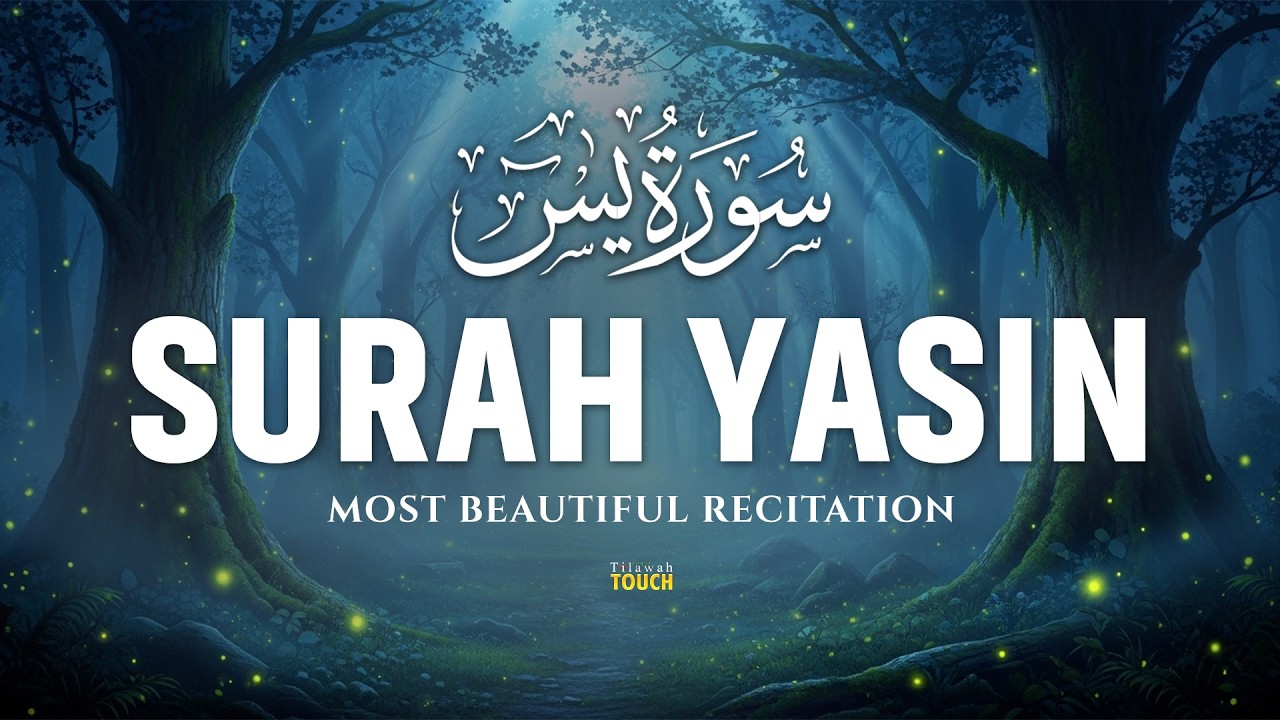 Surah Yaseen سورة يس | Relaxing Quran for Sleep, Anxiety Relief & Spiritual Healing by Alaa Aqel